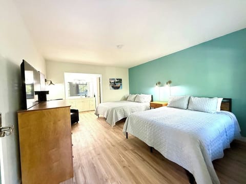 Main Studio Room
