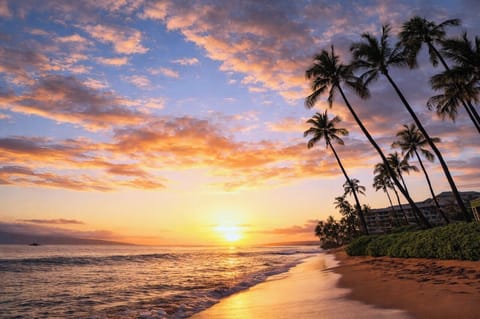 The nearby Kaanapli Beach is the perfect place to catch some beautiful Hawaiian sunsets. KRO-G201