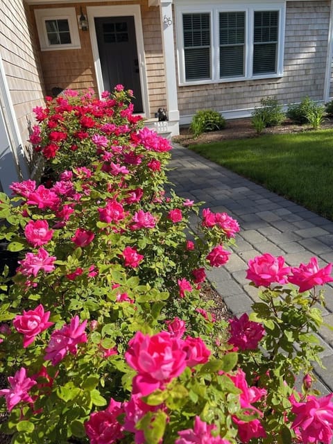 Front Walkway