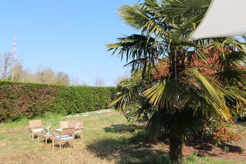 Autumn, Garden, Spring, Summer