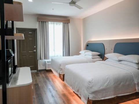 Stretch out in a spacious layout with soft lighting.