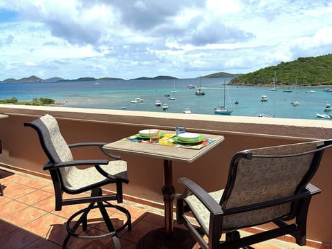 Grande Bay - Buena Vida has stunning views of Cruz Bay Harbor