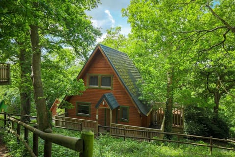 Lodge 68 - Fern Gully