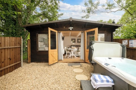 Hazel