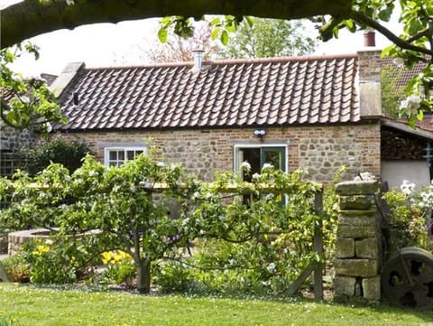The Sun House