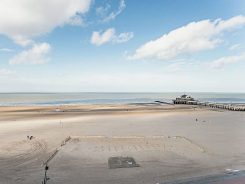 Natural Environment, Beach, Coast, Horizon, Ecoregion, Shore, Sea, Sand, Landscape, Coastal And Oceanic Landforms