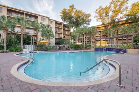 Relax into a peaceful swim surrounded by palms and warm light.