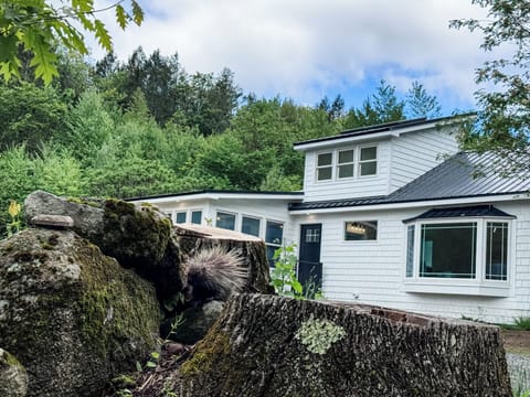 The Cottage at Quill Hollow resident porcupine!