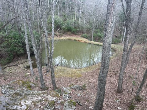 Duck`s Nest Retreat- 1br/1ba, Hot Tub, Wifi,Private Pond, Ocoee River area