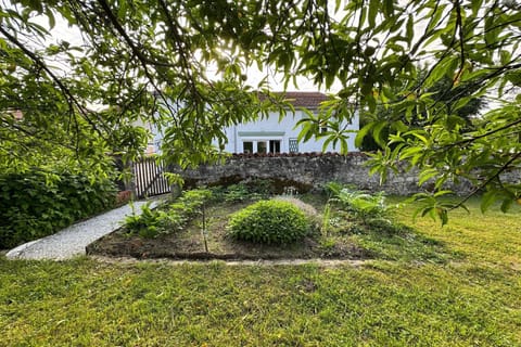 Garden [summer]