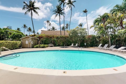 Dive into the sparkling pool beneath swaying palms.