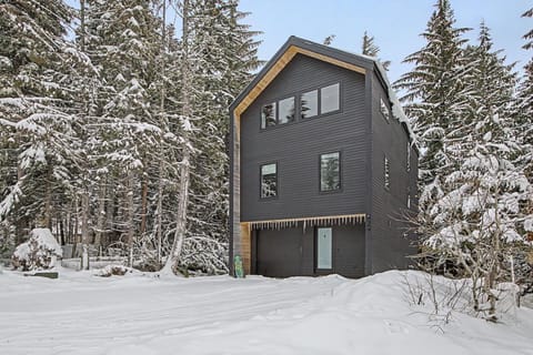 Modern mountain retreat nestled among snow-laden evergreens in pristine winter wonderland.