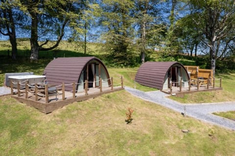 Treetops and Cwtch pods