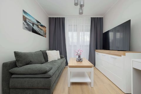A modern living room with a gray sofa facing a wall-mounted TV. A small wooden coffee table sits in the center, and light curtains soften the daylight from the window. The room feels bright and neatly arranged.