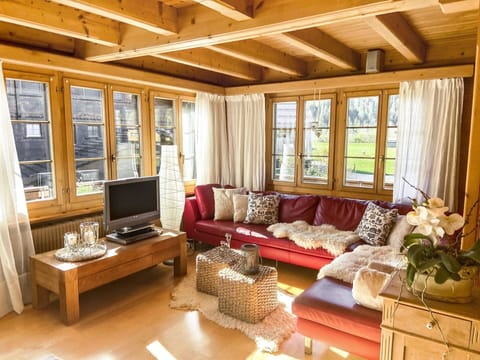 Wood-Burning Stove, Heat, Hearth, Wood Stain, Hardwood, Living Room, Fireplace, Wood Flooring