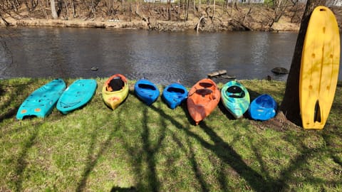 Kayaks and paddle board for guest use