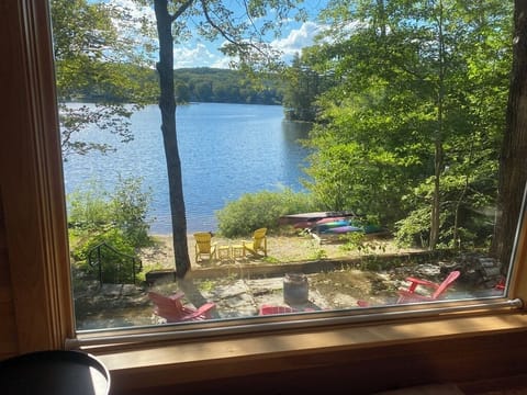 morning view from the living room