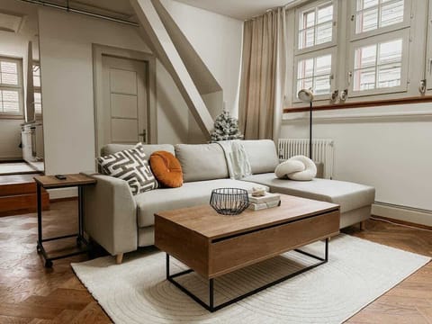 Gemütliches Wohnzimmer mit bequemer Schlafcouch, ideal zum Entspannen. Heller Raum mit großen Fenstern, der bei Bedarf abgedunkelt werden kann. Perfekt eingerichtet, um sich wie zu Hause zu fühlen und den Aufenthalt in vollen Zügen zu genießen.