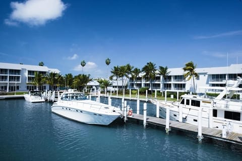 Arrive to a sparkling marina scene with coastal resort vibes.