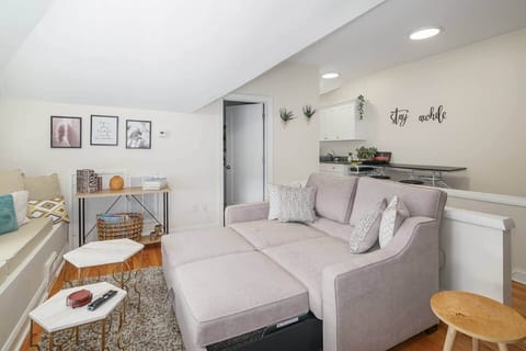 Sofa pulls out to full size bed. 
