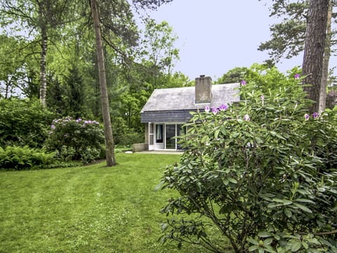 Plant, Sky, Window, Tree, Natural Landscape, Building, Land Lot, House, Grass, Cottage