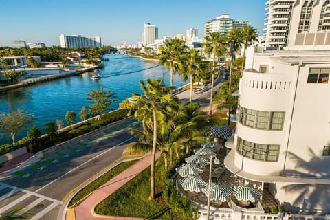 Soak up panoramic waterway views above iconic palm-lined streets.