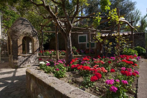 Flower, Leaf, Shrub, Garden, Spring, Arch, Flowerpot, Landscaping, Shade