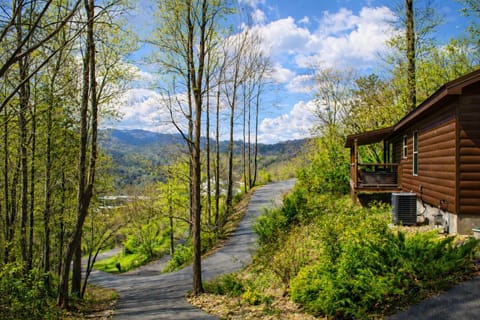 Exterior shoot of the private driveway. The cabin is in the right of the shot.