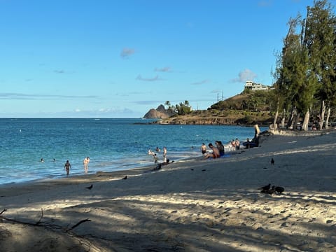 Beach