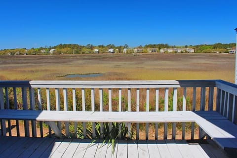 Salt Marsh and Creek Views