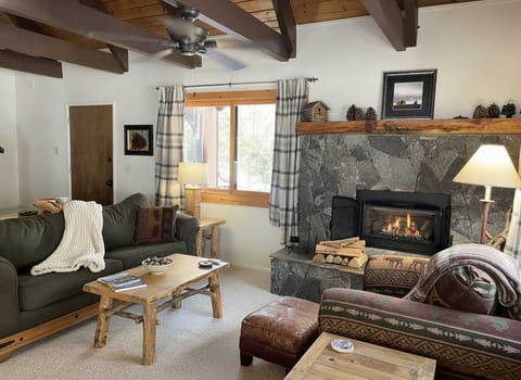 Living room with stone fireplace