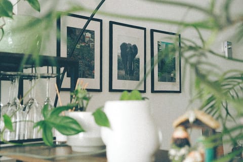 Interior detail