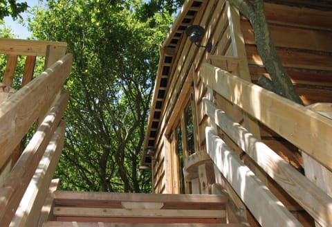 The Roost Treehouse