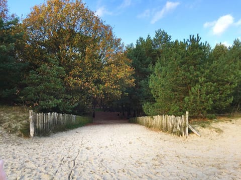 Explore nearby forest trails and breathe in fresh air.