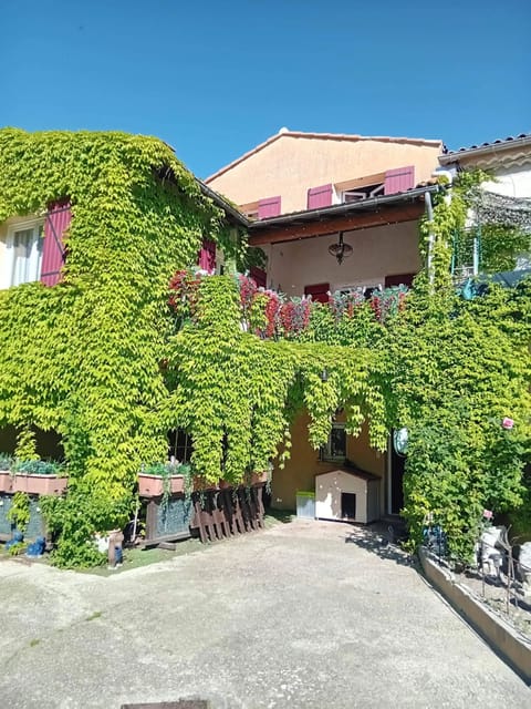 Front view