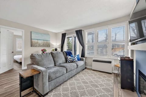 Bright living room with comfortable pull-out sofa (new in Spring 2026) and plenty of natural light