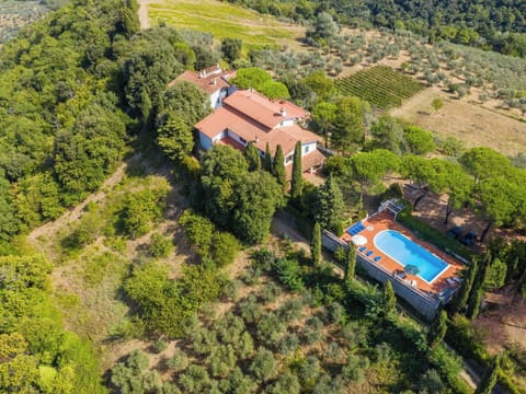 Hill, Highland, Hill Station, Rural Area, Bird'S-Eye View, Ridge, Plantation, Chaparral, Mountain Village, Aerial Photography