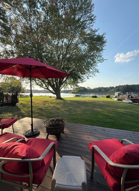 Backyard view from Patio