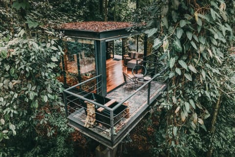 Escape to a glass cabin suspended in lush rainforest calm.