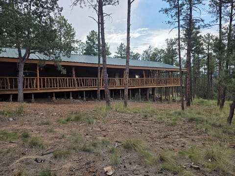 Cabin exterior from the drive.