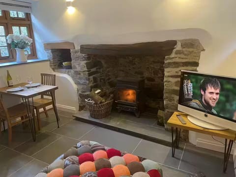 Living room with log burner