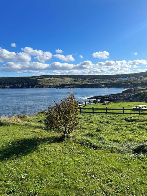 The view from our home of Pouch Cove