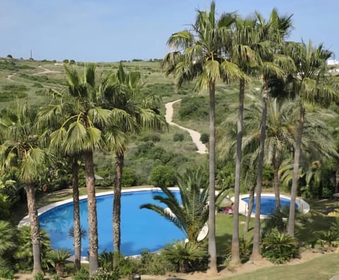 Swimming pool view