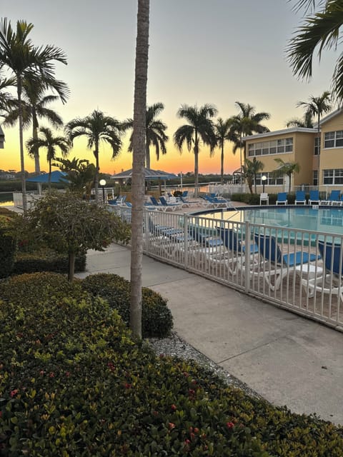 Beautiful view of the pool and intra coastal from the sunroom