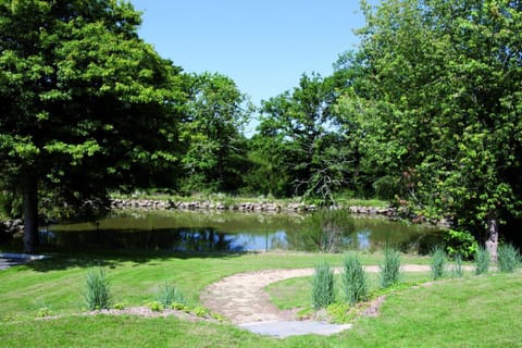 A natural pond on the grounds, edged with granite rocks and ornamental grasses, tucked beneath mature trees