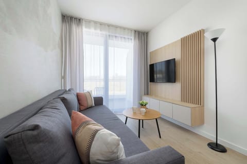 A contemporary living room features a grey sofa with decorative pillows and a wall-mounted television on a light-wood panel. Large glass doors lead to a balcony, filling the space with natural light.