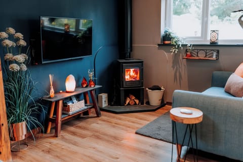 Log Burner in Living area