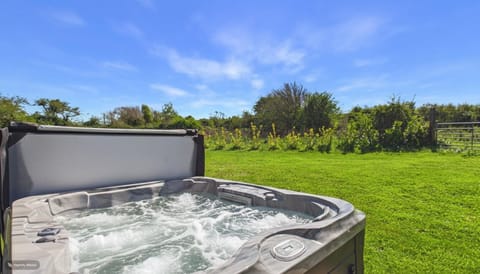 Swanlake Lodge - 3 Bedroom Lodge - Penally (28616)