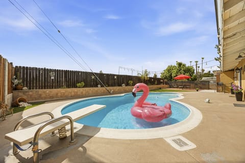 Dive into relaxation! Enjoy exclusive access to our massive private diving pool.