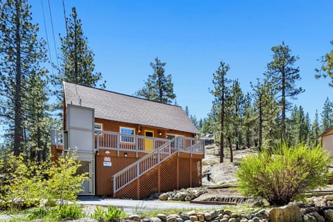 A charming mountain cabin nestled among towering pines, offering a peaceful retreat surrounded by nature's beauty and clear blue skies.